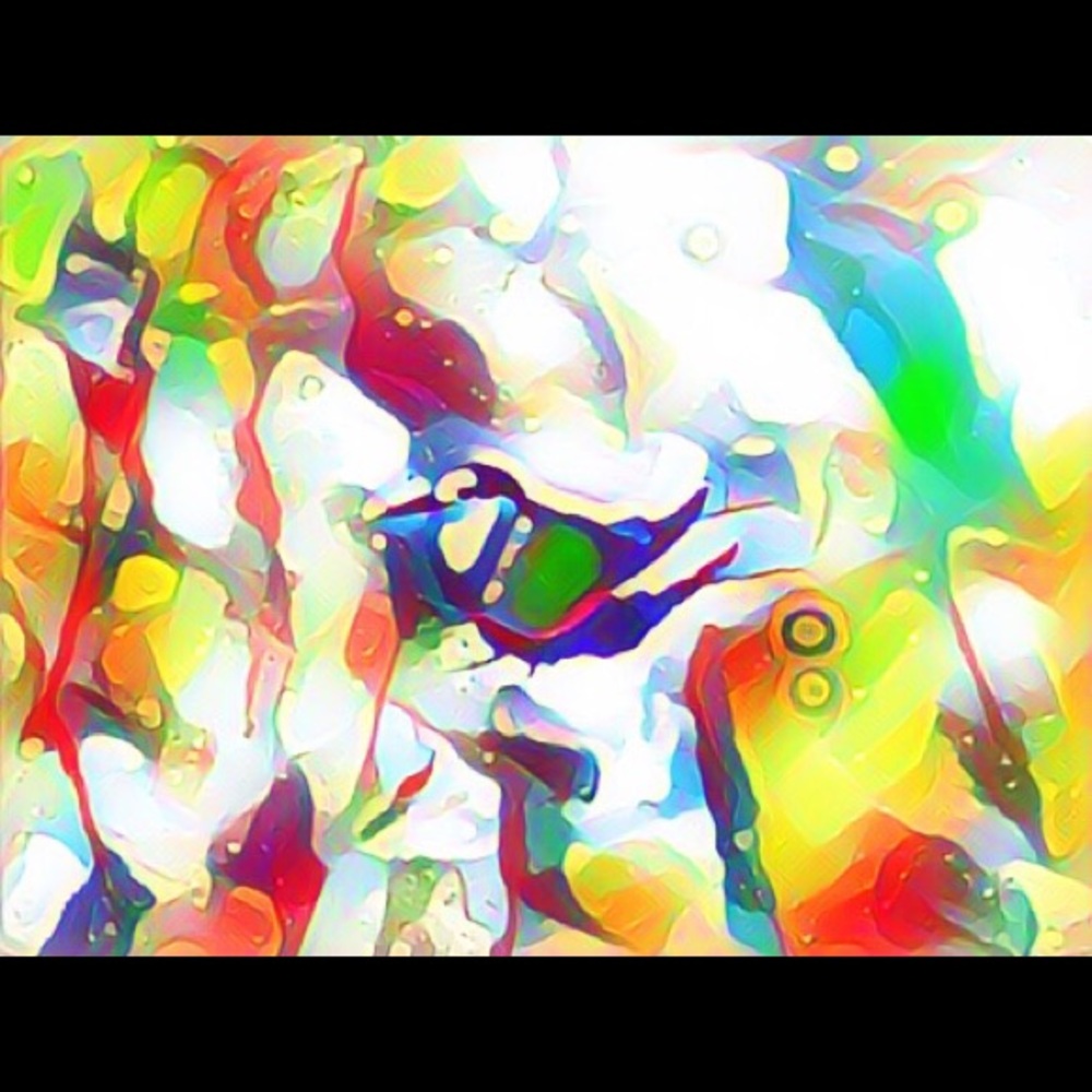 Meet your Posher, Jill